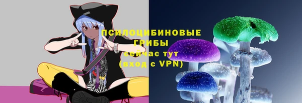 прущие грибы Пересвет