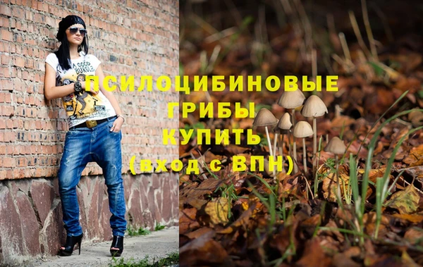 винт Абинск