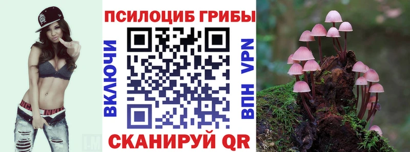 Псилоцибиновые грибы MAGIC MUSHROOMS Алейск