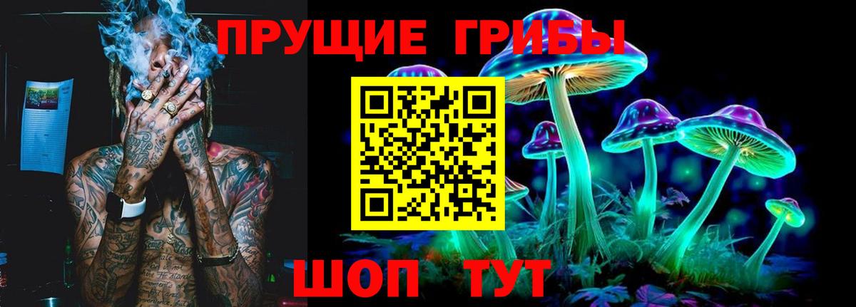 купить наркотики цена  Галлюциногенные грибы Psilocybe  Вход с VPN  Галлюциногенные грибы прущие грибы  Алейск 
